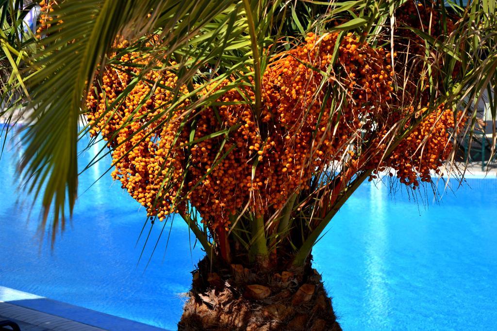 Zephyros Hotel Kamari  Luaran gambar