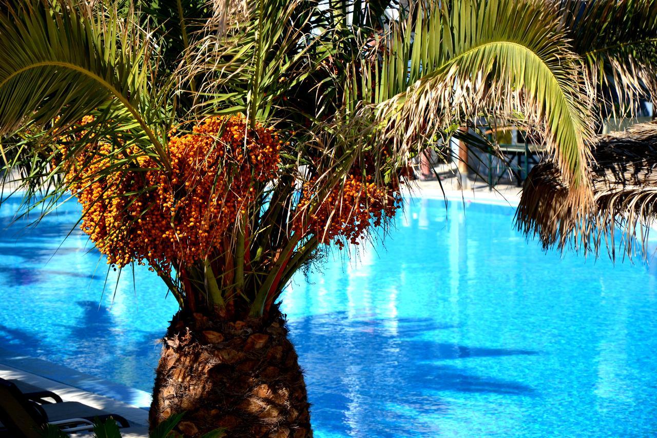 Zephyros Hotel Kamari  Luaran gambar